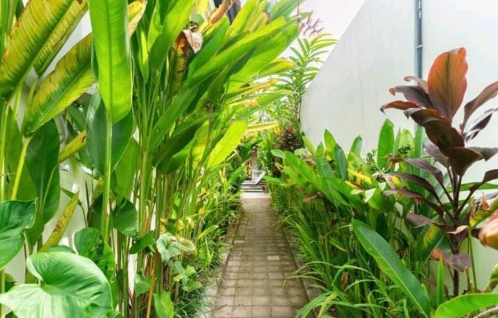 Rendira Villa 2 Ubud Exterior foto